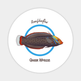 Queen Wrasse Magnet